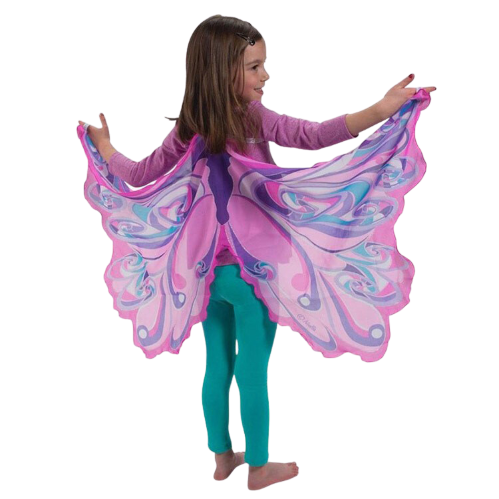 Butterfly Wings, Pink & Purple