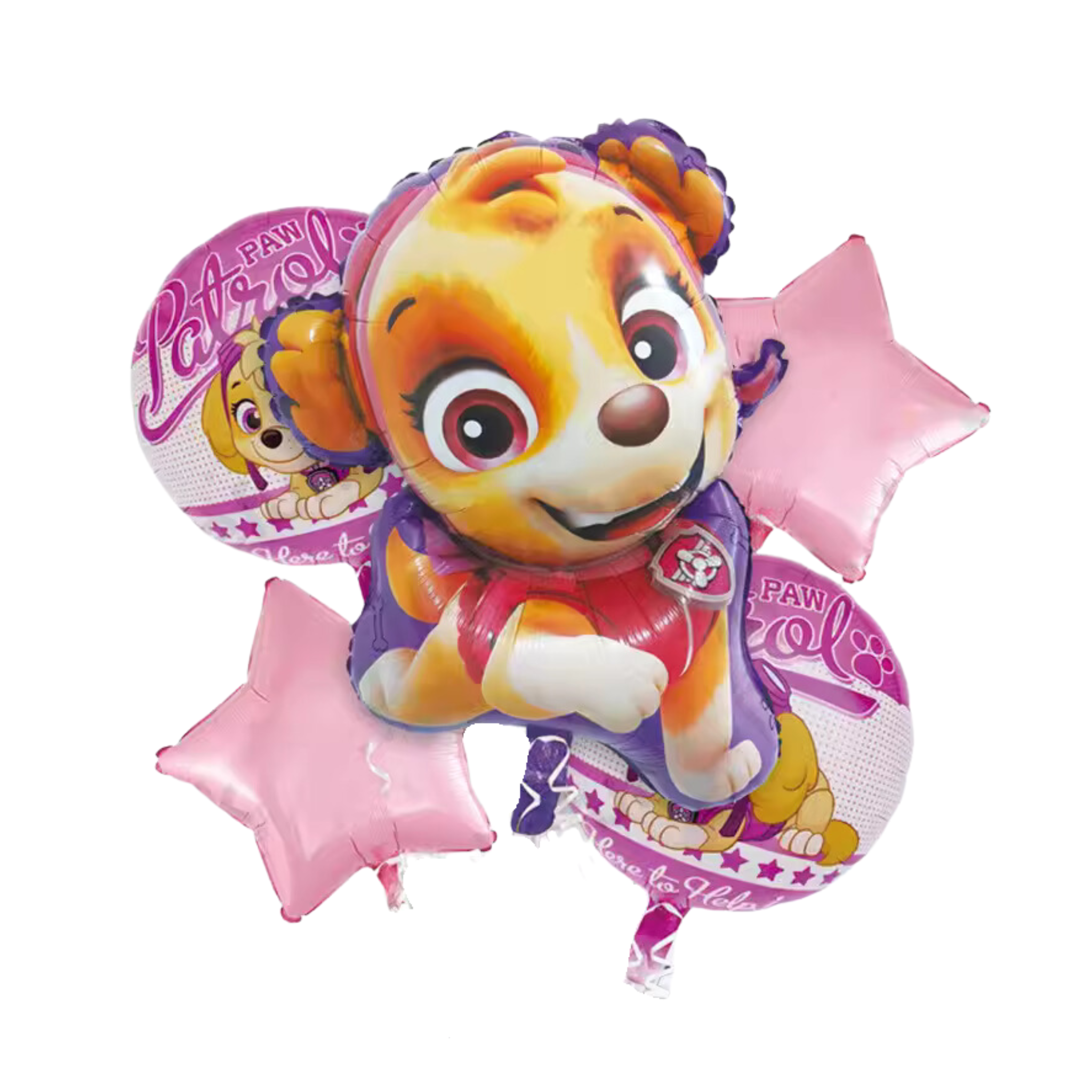 Paw Patrol Skye Foil Balloon (set of 5)