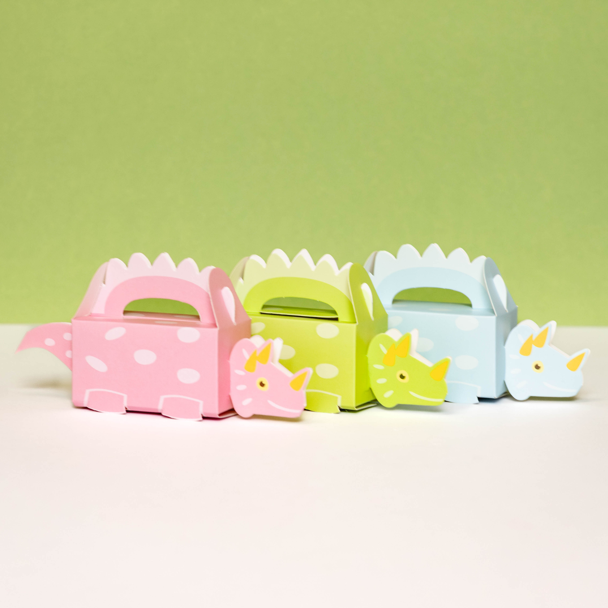 Dinosaur Favour Box (set of 4)