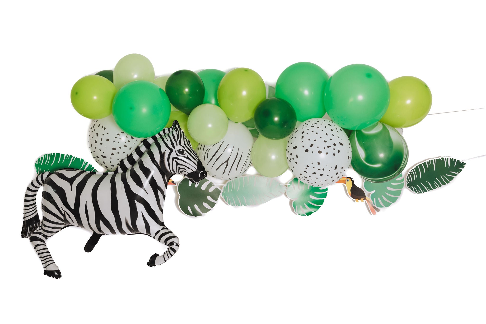 Get Wild Balloon Cloud and Garland Kit